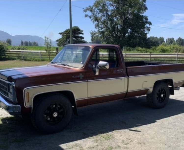 Chevrolet-Scottsdale-1980-8