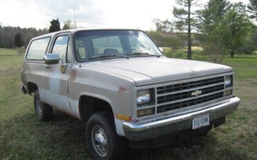 Chevrolet-Scottsdale-1989-12