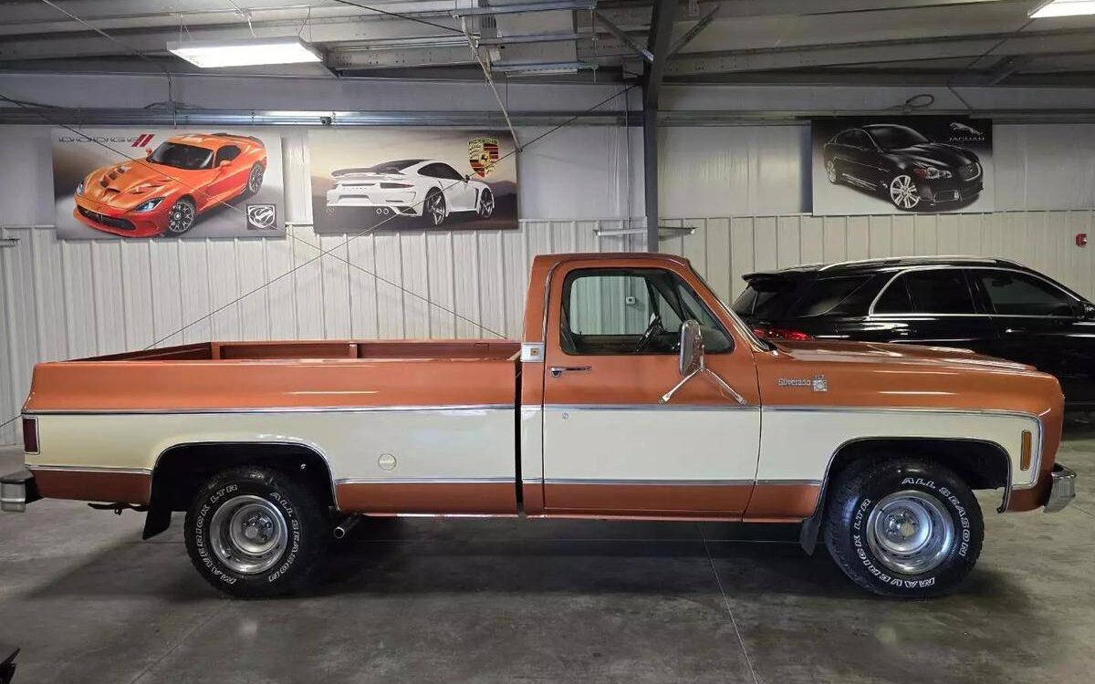 Chevrolet-Silverado-1977-2