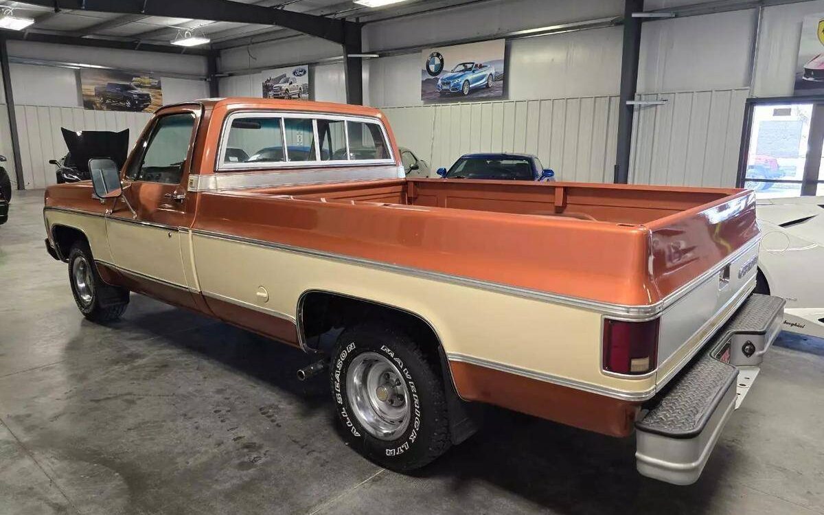 Chevrolet-Silverado-1977-3