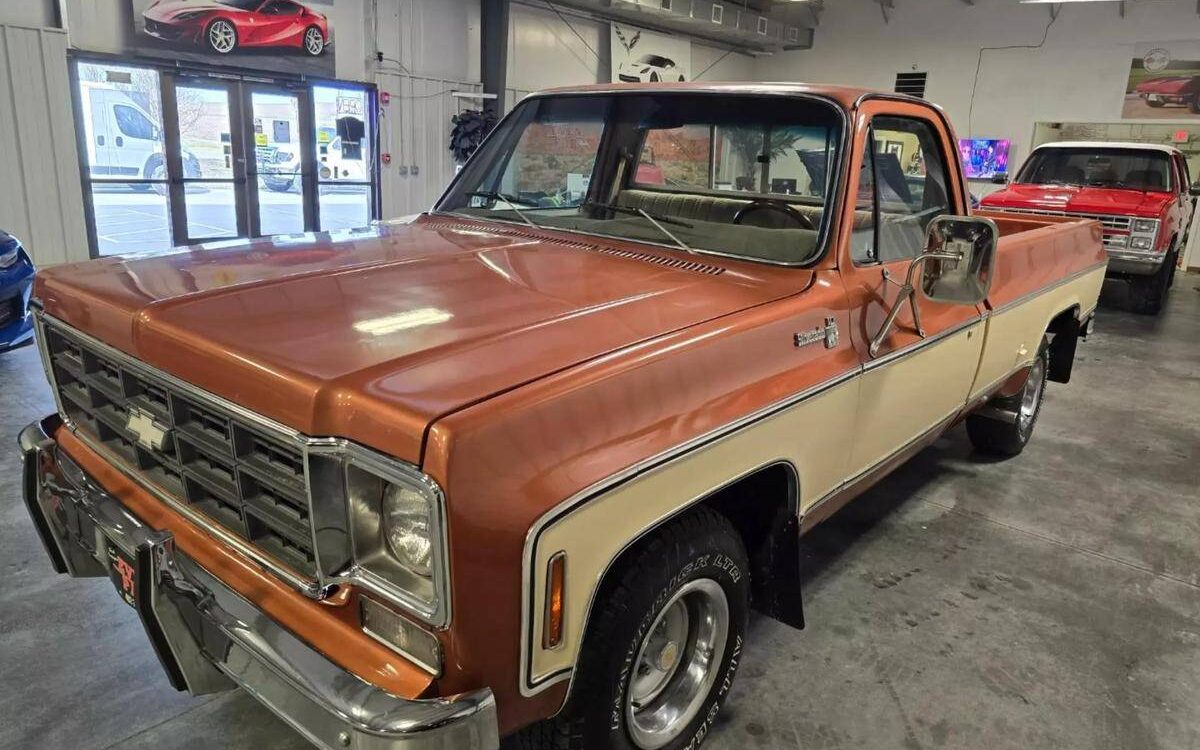 Chevrolet-Silverado-1977-5