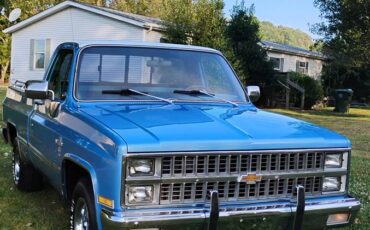 Chevrolet-Silverado-1981-1