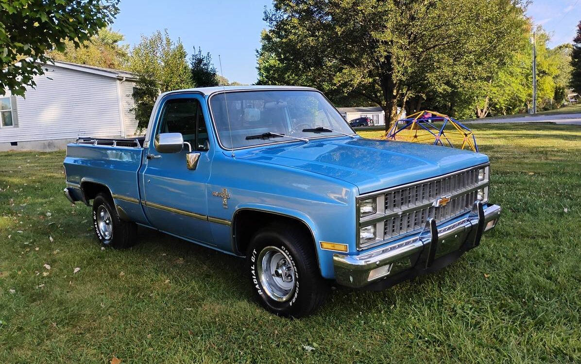 Chevrolet-Silverado-1981-13