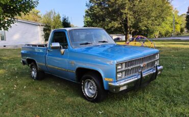 Chevrolet-Silverado-1981-13