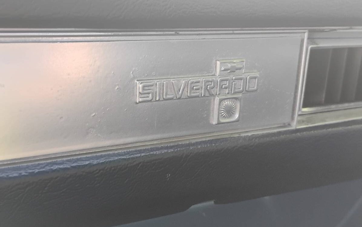 Chevrolet-Silverado-1981-18