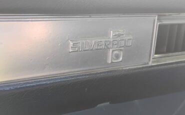 Chevrolet-Silverado-1981-18