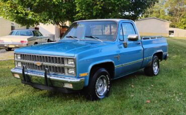 Chevrolet-Silverado-1981-2