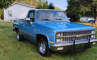 Chevrolet-Silverado-1981