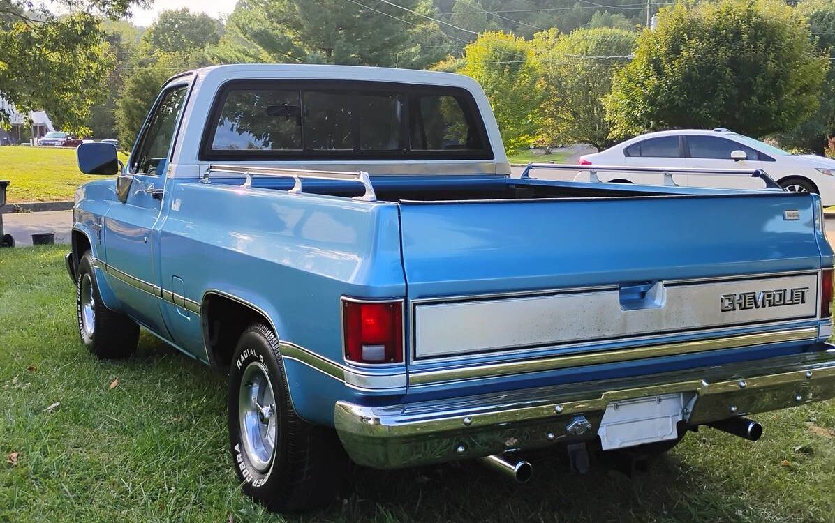 Chevrolet-Silverado-1981-4