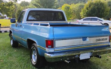 Chevrolet-Silverado-1981-4