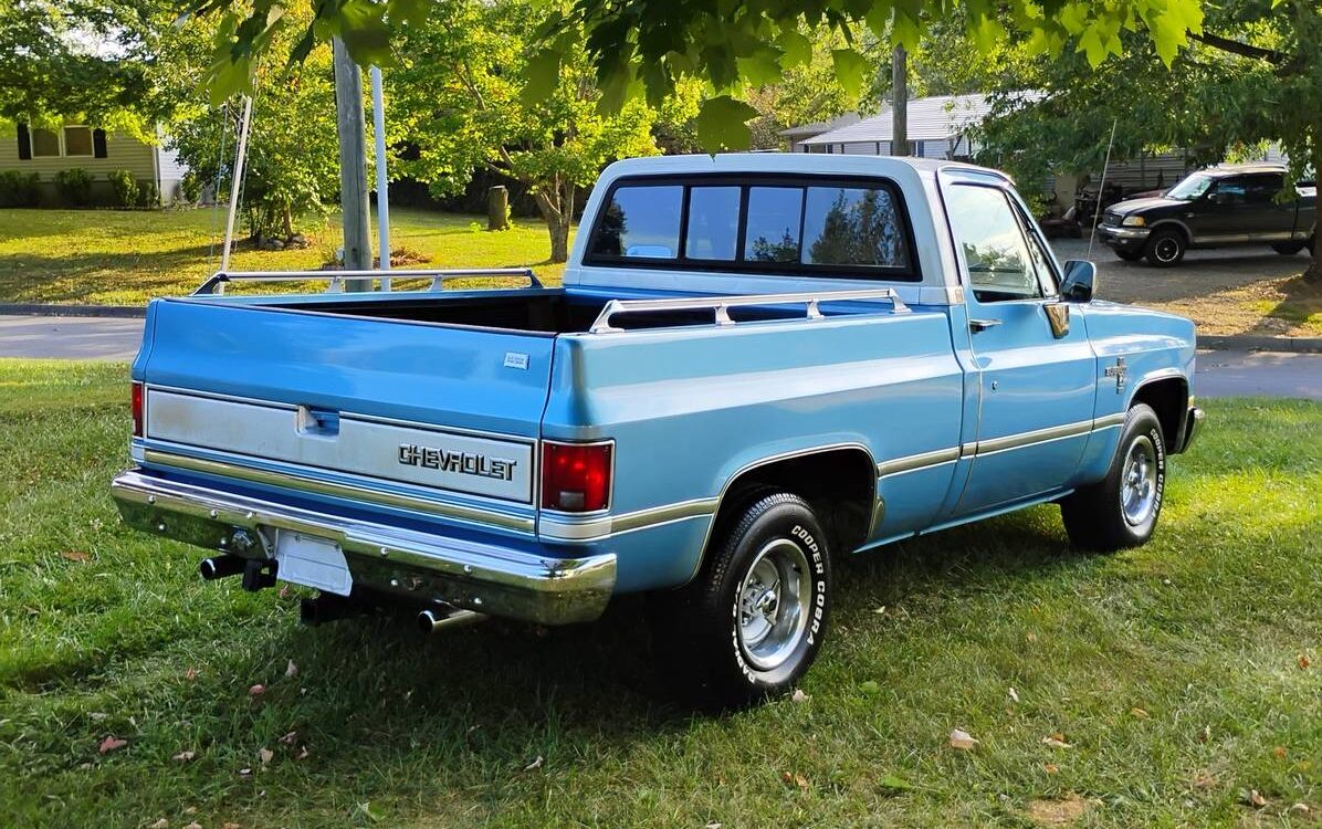 Chevrolet-Silverado-1981-5