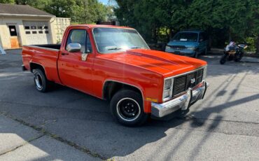 Chevrolet-Silverado-1984-9