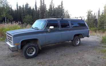 Chevrolet-Suburban-1500-1989-3