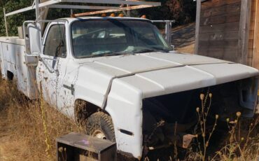 Chevrolet-Truck-1981-1