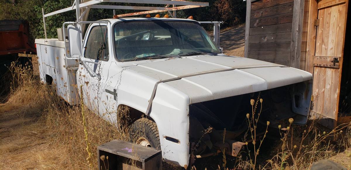 Chevrolet-Truck-1981-1