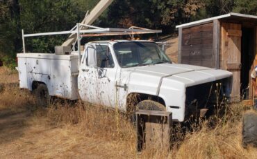 Chevrolet-Truck-1981-6