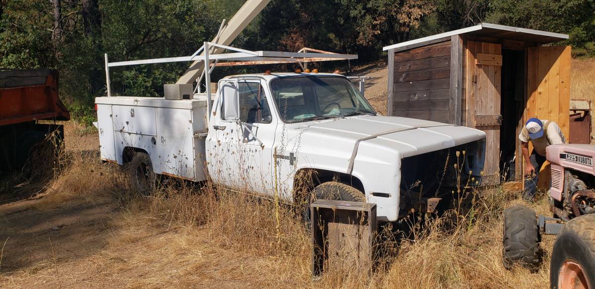 Chevrolet-Truck-1981-6