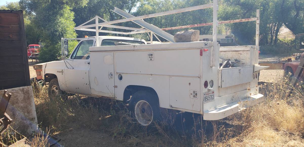 Chevrolet-Truck-1981-7