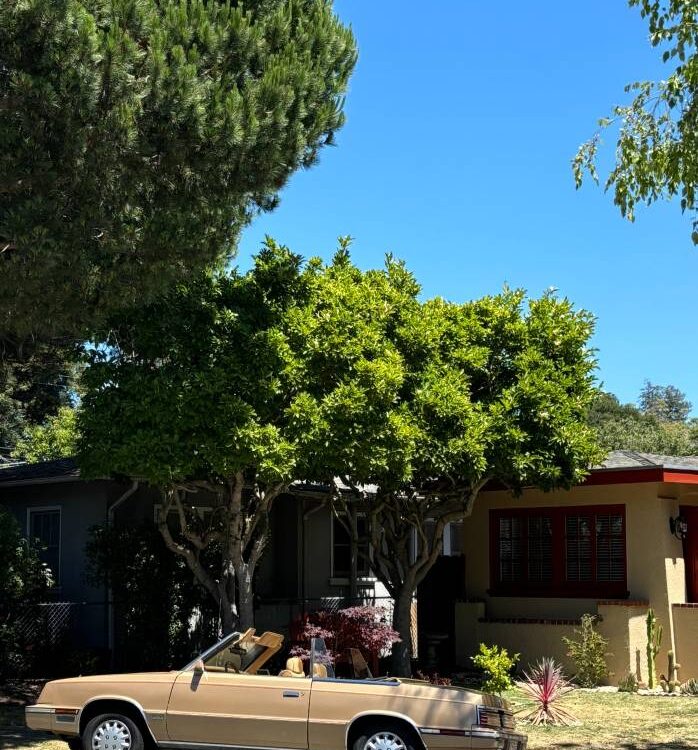 Chrysler-Lebaron-convertible-1985-1