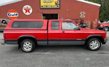 Dodge-Dakota-1994-14