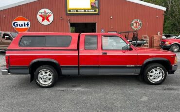 Dodge Dakota  1994