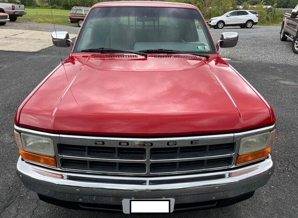 Dodge-Dakota-1994-5