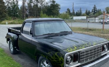 Dodge-Other-Pickup-1978-7