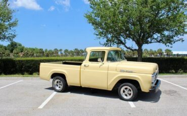 Ford F-100 Pickup 1960