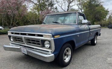 Ford-F-150-1976-8