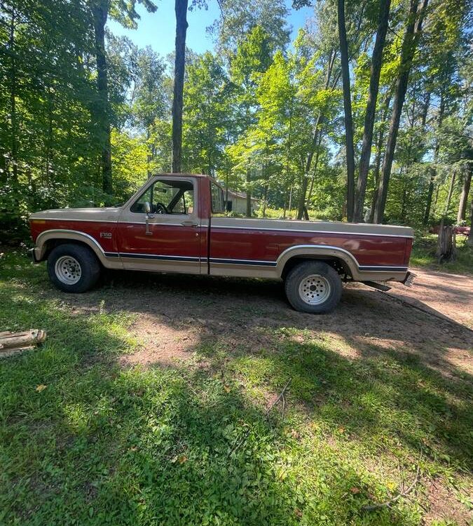 Ford-F-150-1984-4