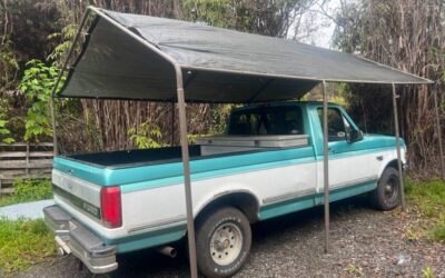 Ford F-150 1994