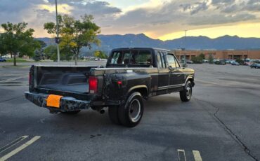 Ford-F-250-diesel-1986-15