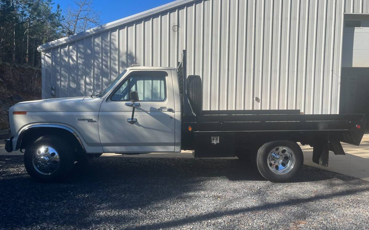 Ford-F-350-1981-4