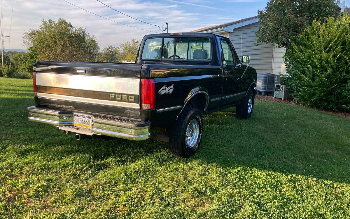 Ford-F150-1994-5