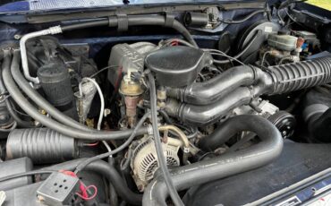 Ford-F150-4x4-1994-5