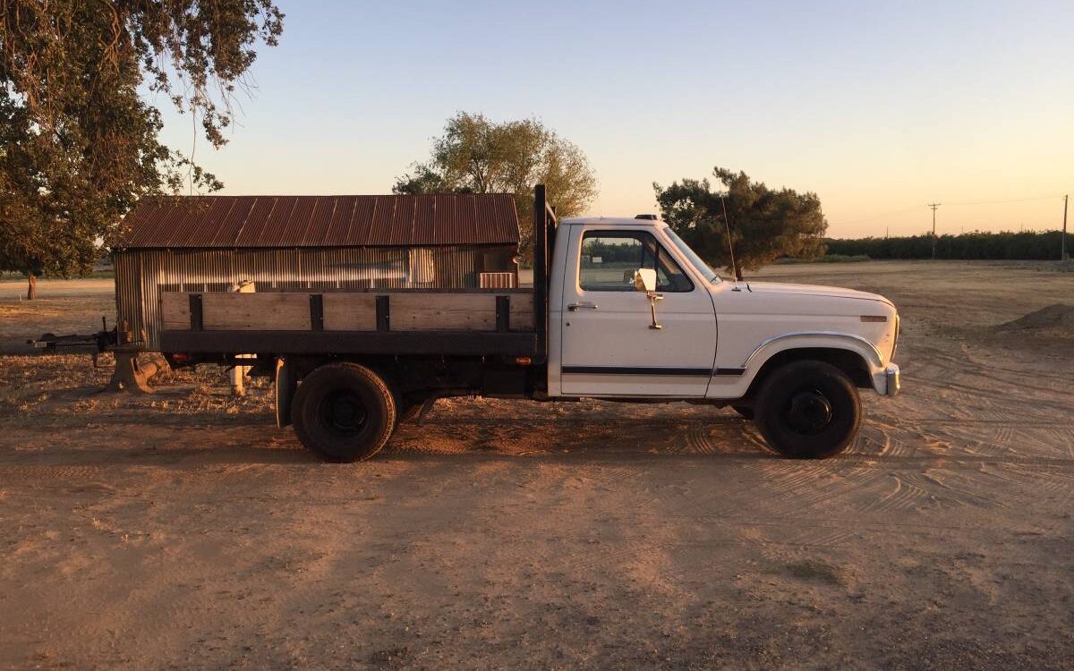 Ford-F350-dually-1984-1