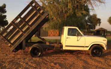 Ford-F350-dually-1984-7