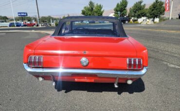 Ford-Mustang-Cabriolet-1966-5