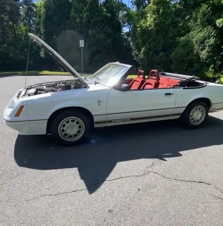 Ford-Mustang-Cabriolet-1984-1