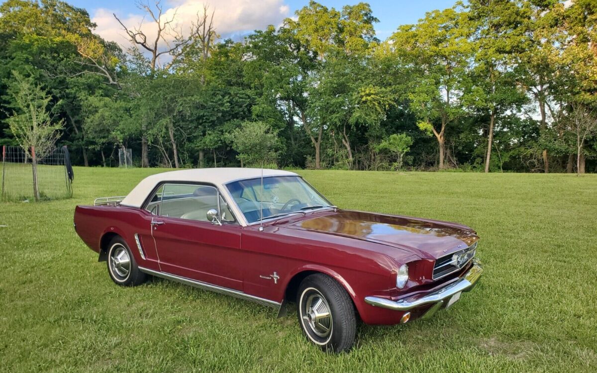 Ford-Mustang-Coupe-1965-1