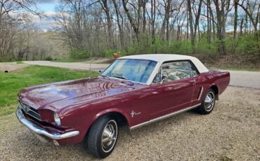 Ford-Mustang-Coupe-1965-13