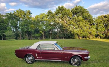 Ford-Mustang-Coupe-1965-3