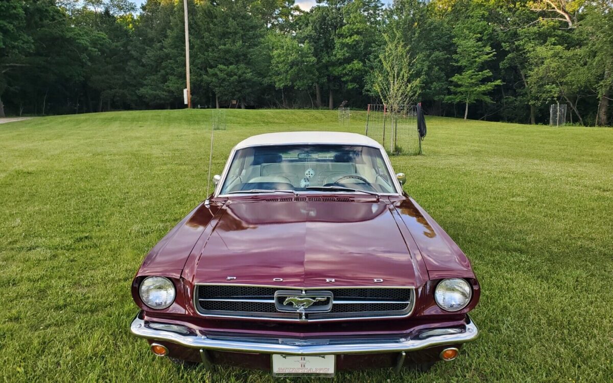 Ford-Mustang-Coupe-1965-5