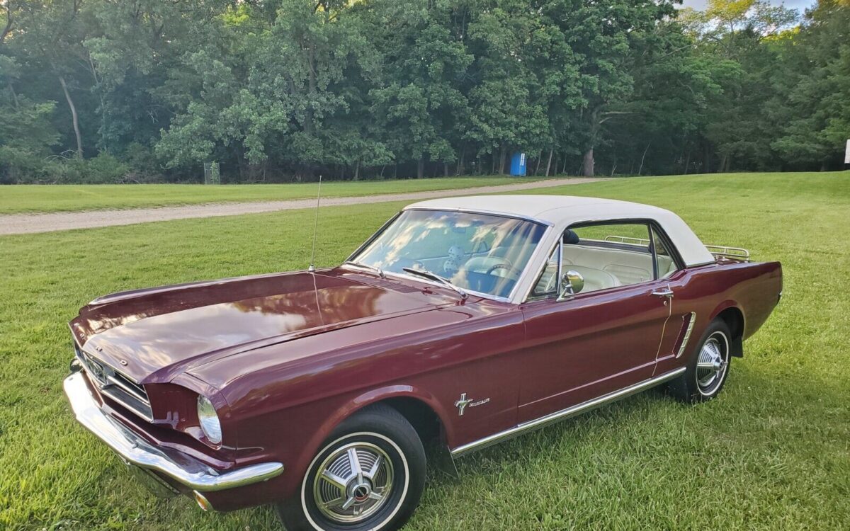 Ford-Mustang-Coupe-1965-7