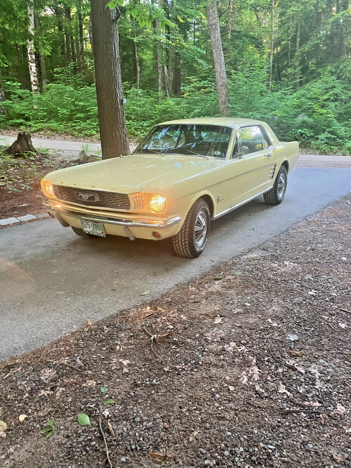 Ford Mustang Coupe 1966 à vendre