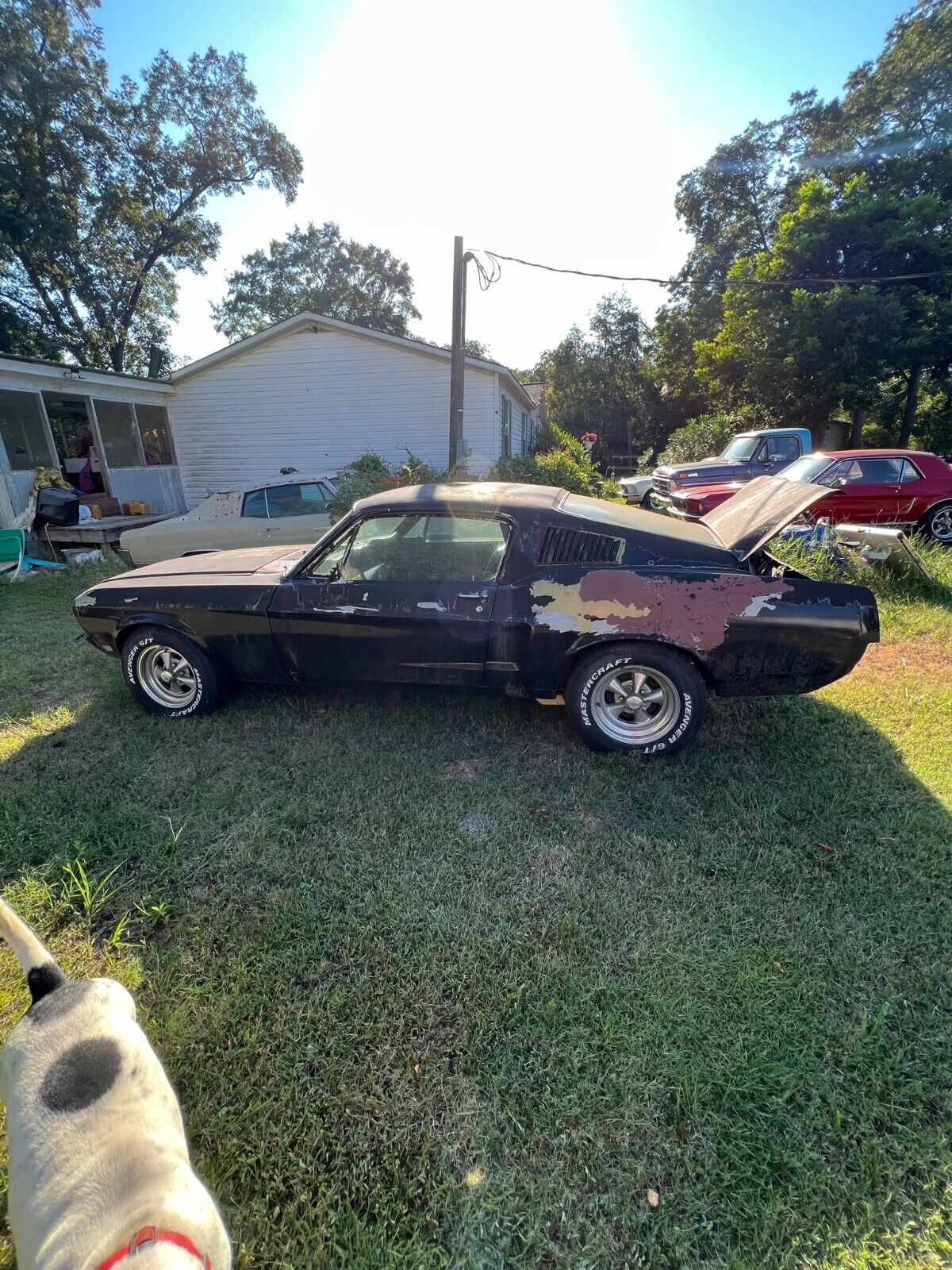 Ford Mustang Coupe 1968 à vendre