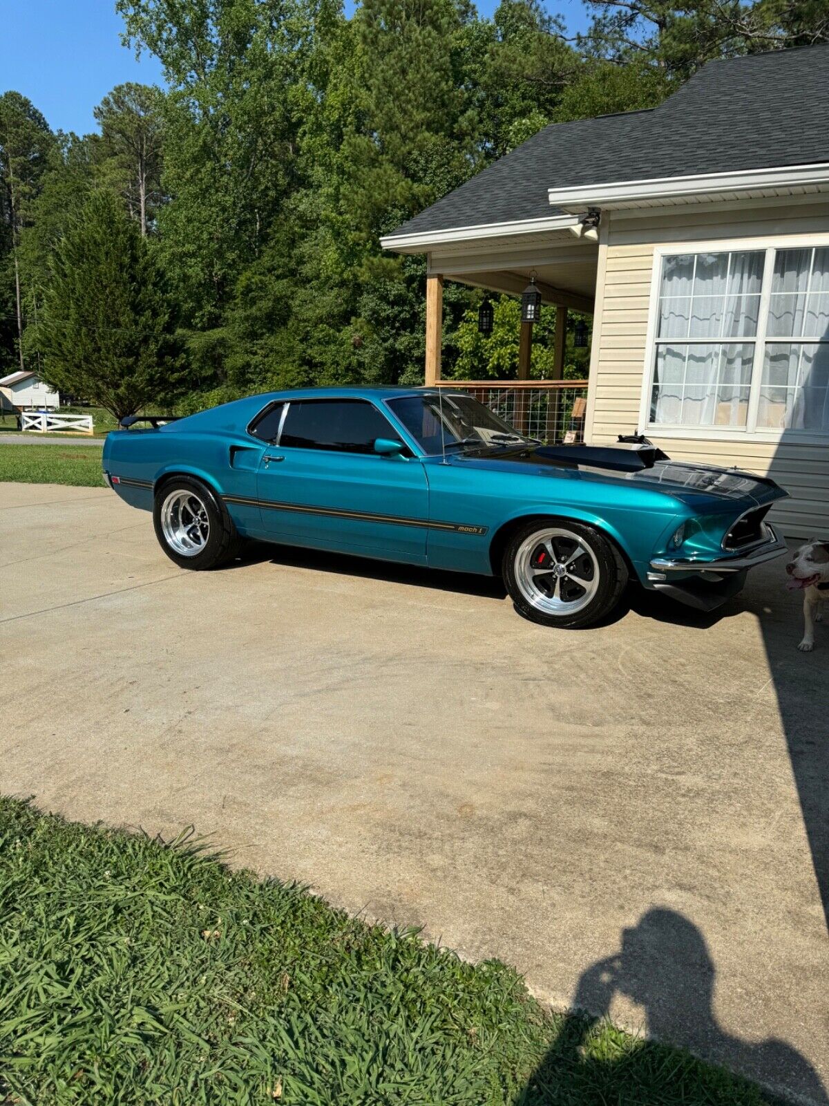 Ford Mustang Coupe 1969 à vendre