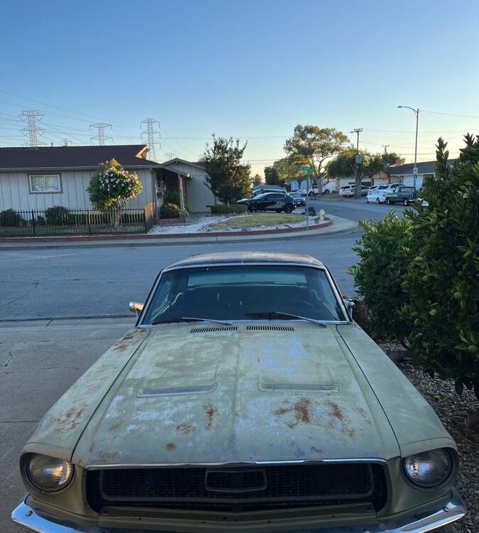 Ford-Mustang-coupe-1968-3