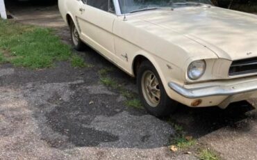 Ford-Mustang-gt-1965-3