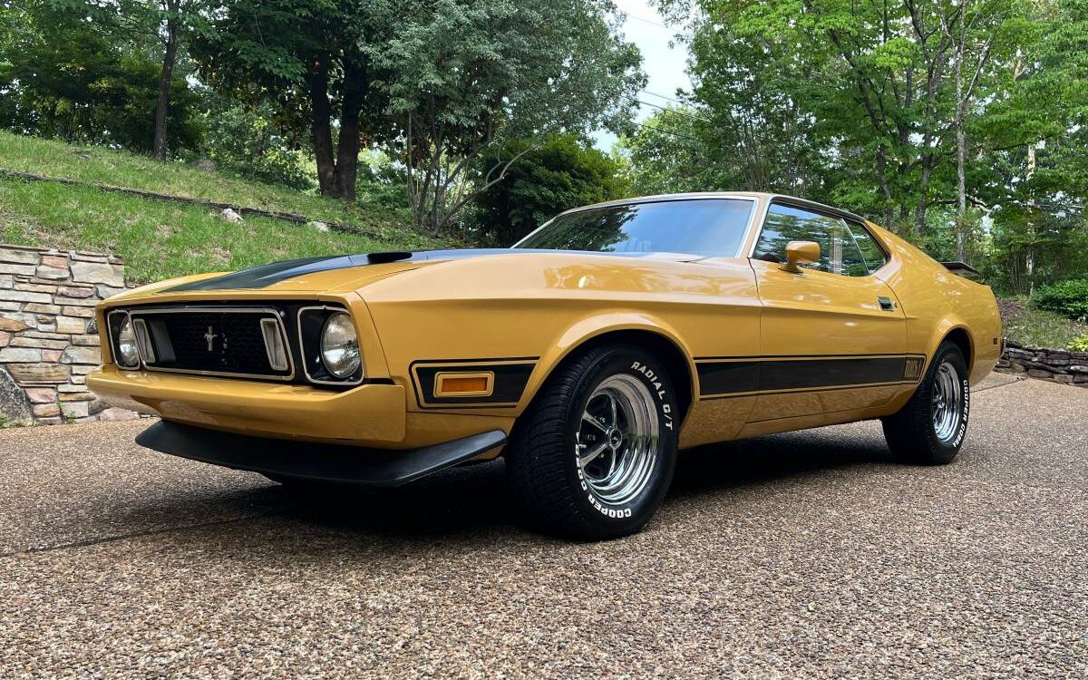 Ford-Mustang-mach-1-1973-1